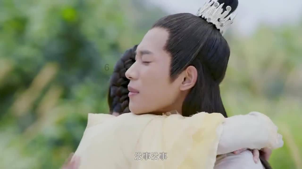 穿越遗弃的森林