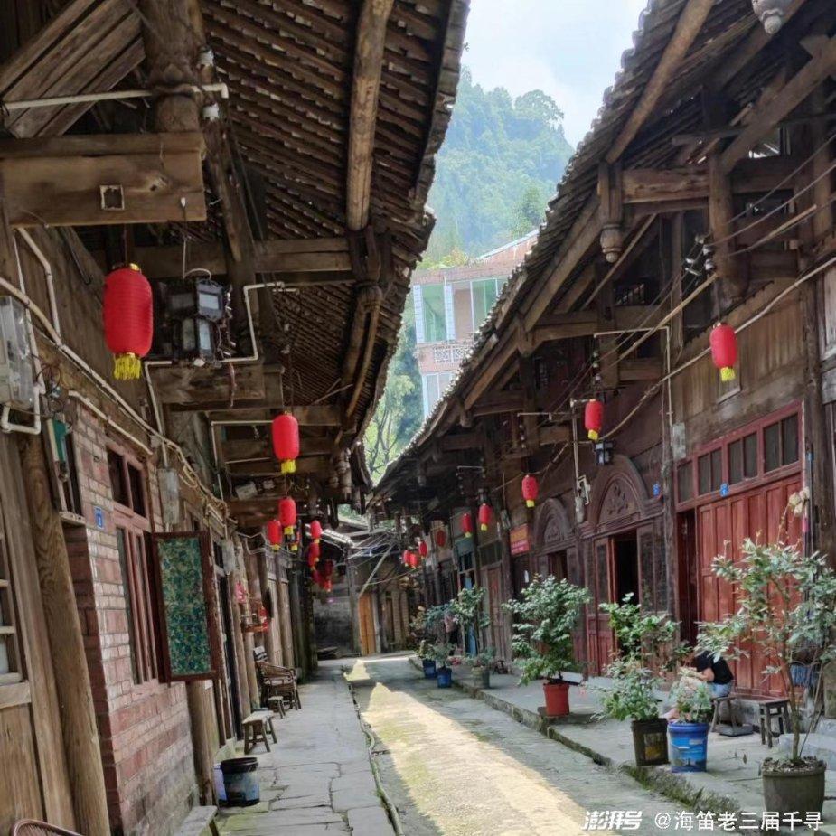 什么是海福特牛